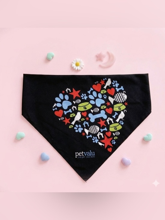 Pet Valu Other - Pet Bandana
